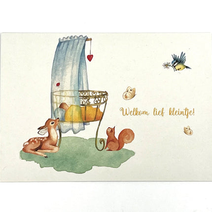 Collection image for: Wenskaarten geboorte