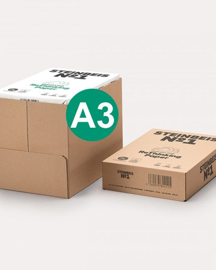 Steinbeis-Vision RC copy A3, 80g