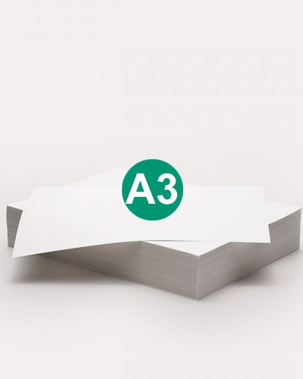 Steinbeis-Vision RC copy A3, 80g