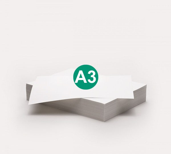 Steinbeis-Vision RC copy A3, 80g