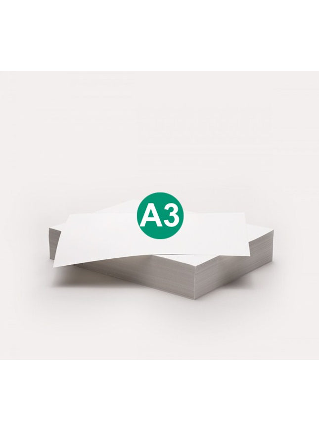 Steinbeis-Vision RC copy A3, 80g