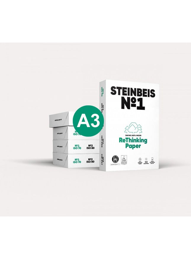 Steinbeis-Vision RC copy A3, 80g