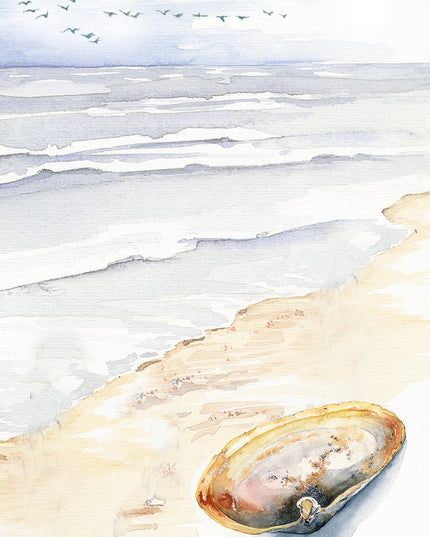 Wenskaart strand met schelp