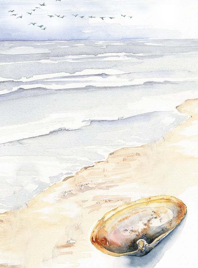 Wenskaart strand met schelp