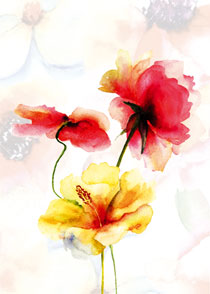 Wenskaart klaprozen zomer