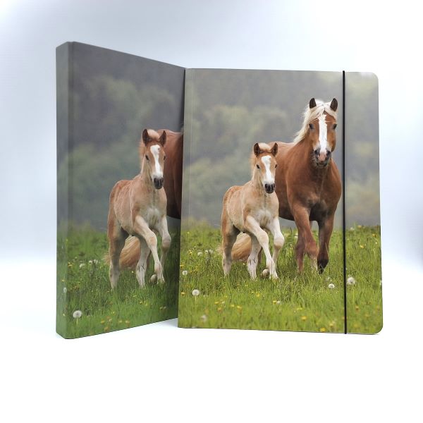 Carte A4 « chevaux »