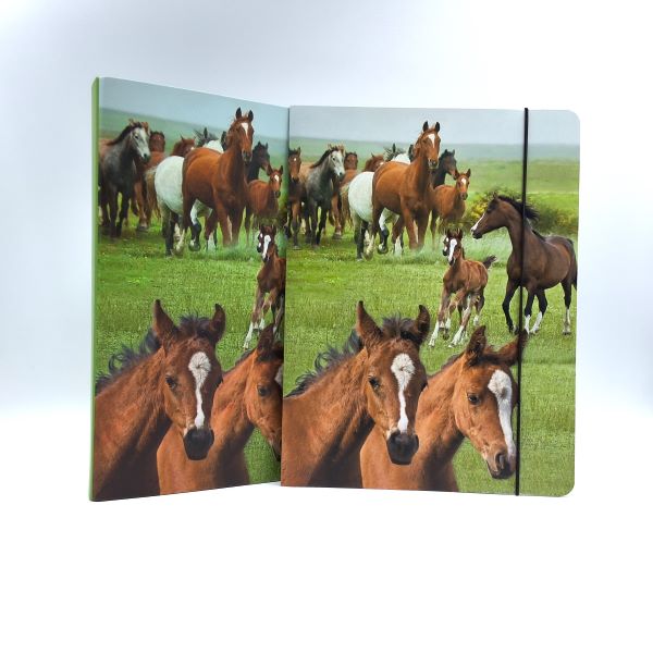 Carte A4 « chevaux sauvages »