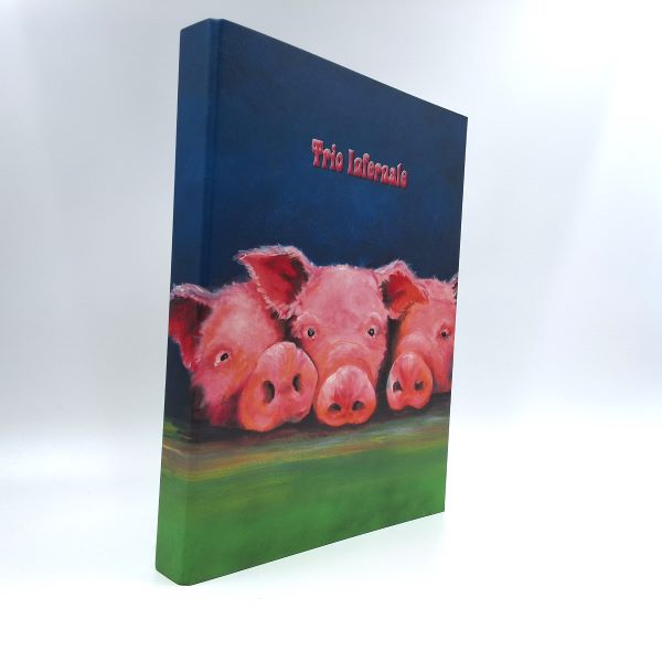 Classeur à anneaux A4 en carton - trio infernal