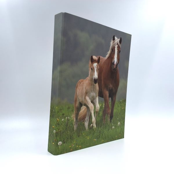 Classeur à anneaux en carton recyclé - 2 chevaux