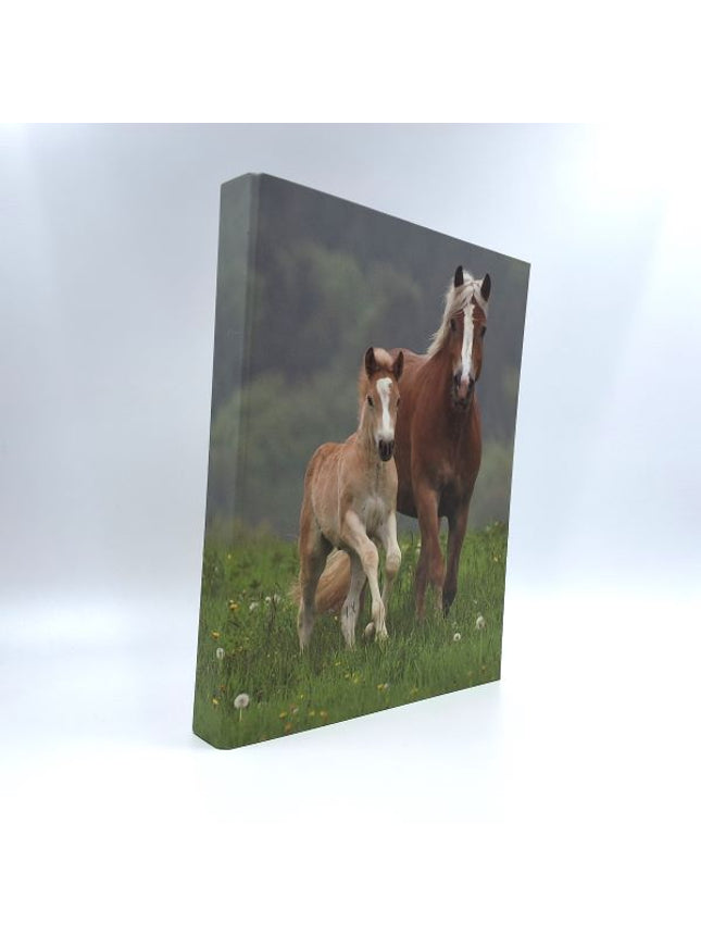 Ringmap recycled karton - 2 paarden