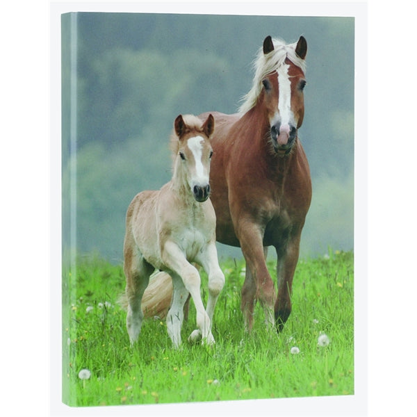 Classeur à anneaux en carton recyclé - 2 chevaux