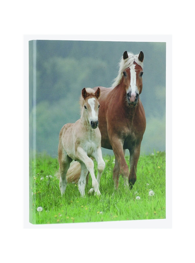 Ringmap recycled karton - 2 paarden