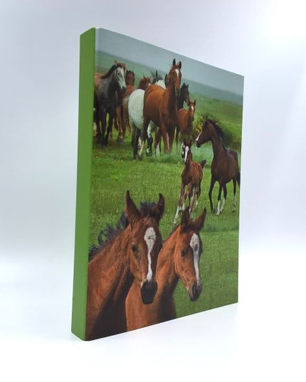 Classeur à anneaux en carton recyclé - chevaux sauvages