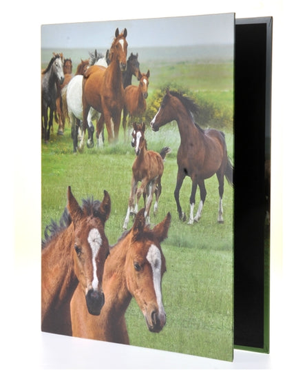 Classeur à anneaux en carton recyclé - chevaux sauvages