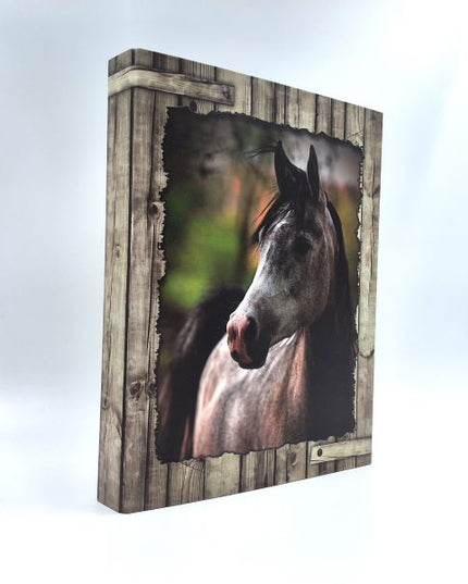 Classeur à anneaux en carton recyclé - Gray Beauty