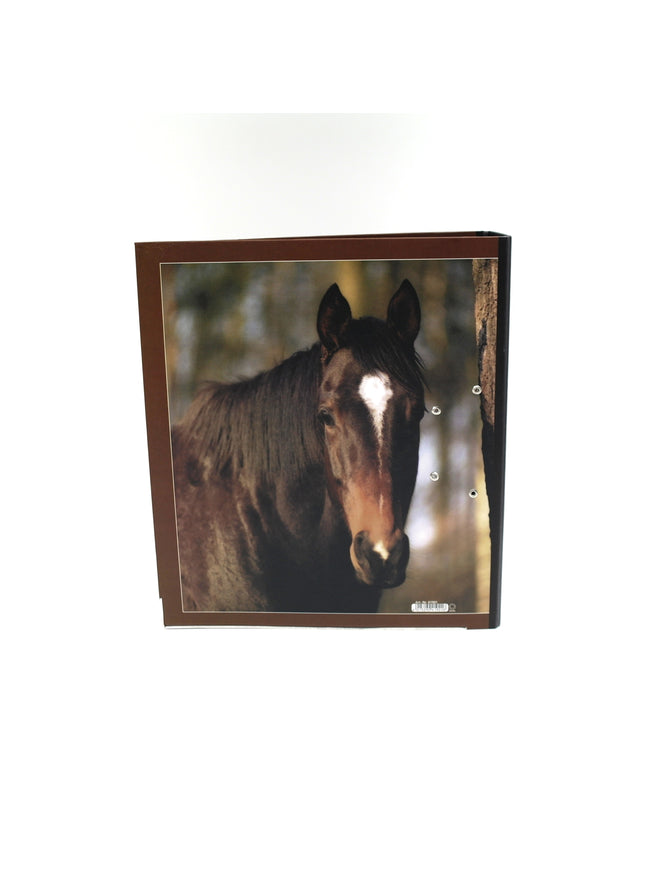 Ringmap recycled karton - paard