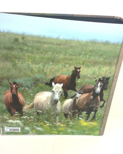 Classeur à anneaux en carton recyclé - collage de chevaux