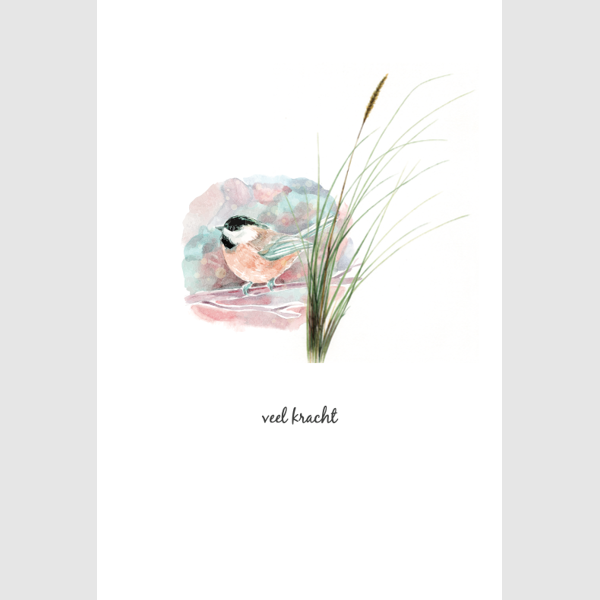 wenskaart vogel, veel kracht