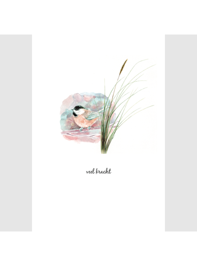 wenskaart vogel, veel kracht