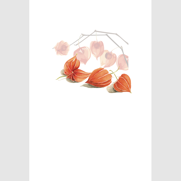 wenskaart lampioenen