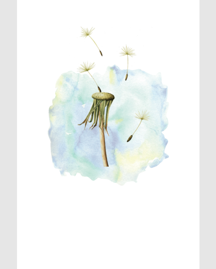 Wenskaart paardenbloem condoleance