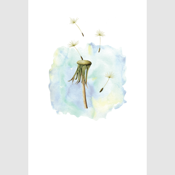 Wenskaart paardenbloem condoleance