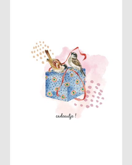 wenskaart vogeltjes en cadeau