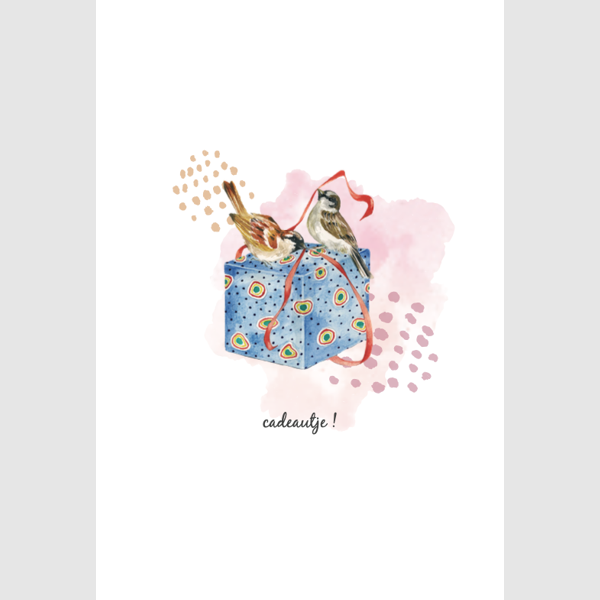 wenskaart vogeltjes en cadeau