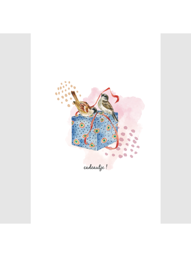 wenskaart vogeltjes en cadeau