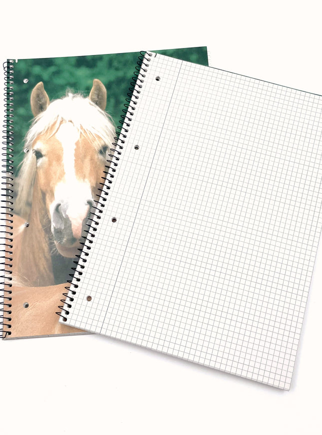 Cahier d'écolier A4 - Carré de 5x5 mm - « chevaux »