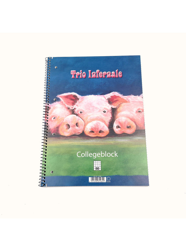 Collegeblok A4 - geruit 5x5 mm - "trio infernale"