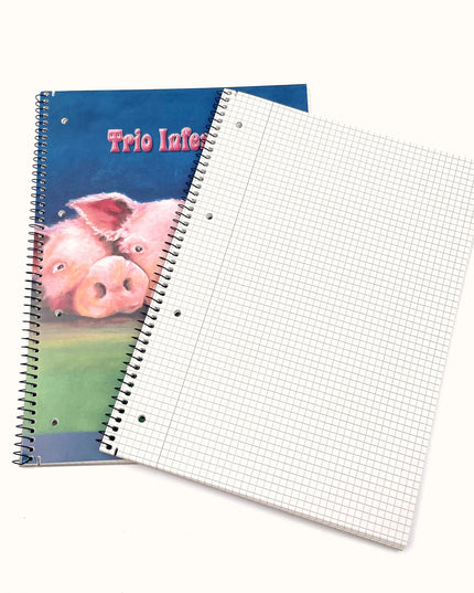 Collegeblok A4 - geruit 5x5 mm - "trio infernale"