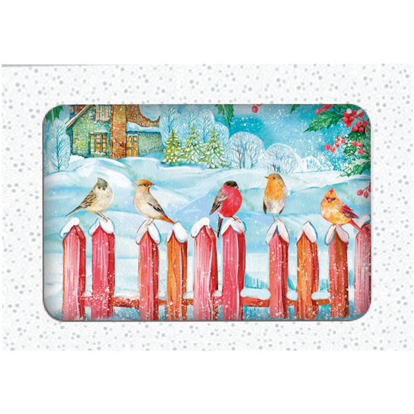 Kerstkaarten doosje 10x vogeltjes op hek (F13113)