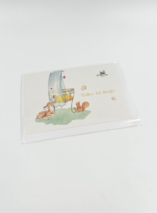 Wenskaart Welkom lief kleintje