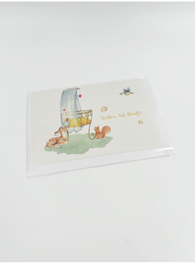 Wenskaart Welkom lief kleintje