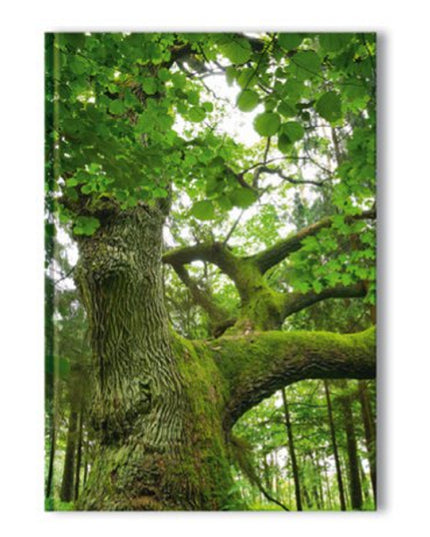 Livre relié A5 - arbre