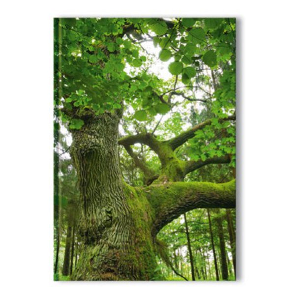 Livre relié A5 - arbre