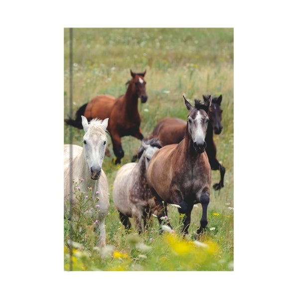 Livre A5 à couverture rigide - collage de chevaux
