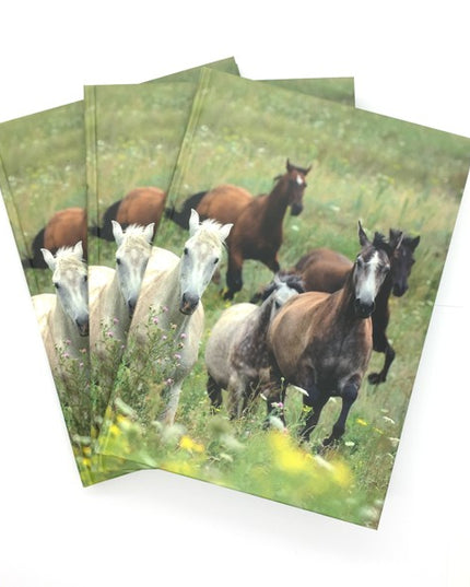Livre A5 à couverture rigide - collage de chevaux