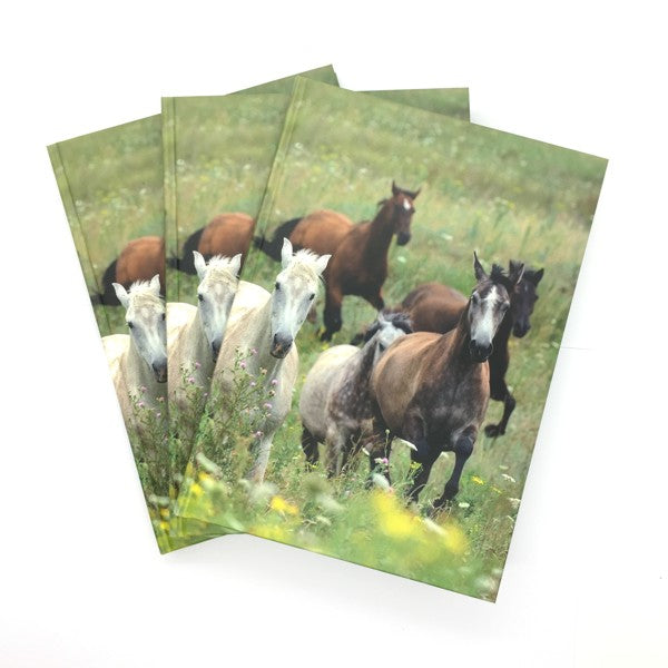 Livre A5 à couverture rigide - collage de chevaux