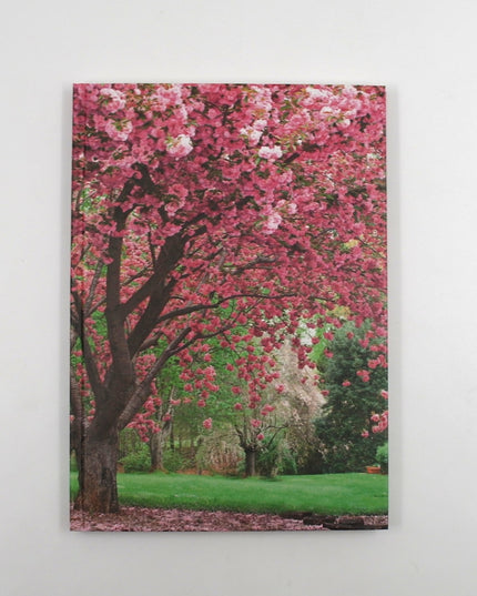 Livre relié format A5 - fleurs de cerisier
