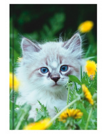 Livre A5 à couverture rigide - chaton