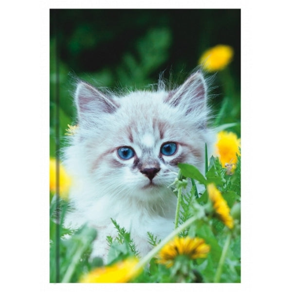 Livre A5 à couverture rigide - chaton