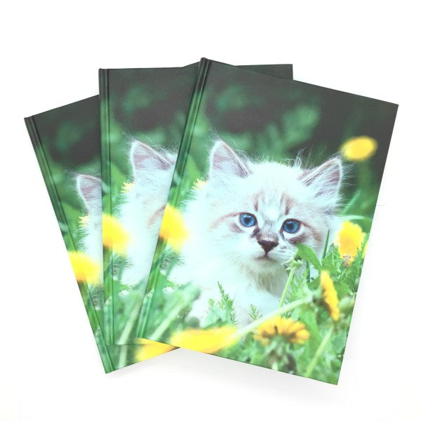 Livre A5 à couverture rigide - chaton