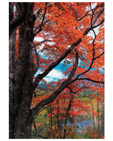 Livre relié A5 - arbre