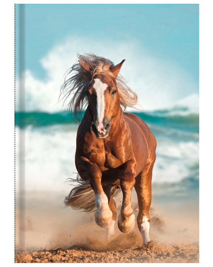 Livre relié A5 - cheval au galop