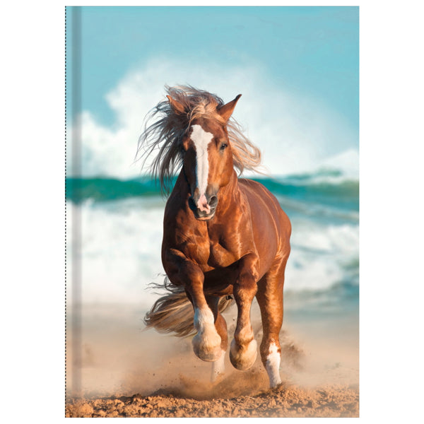 Livre relié A5 - cheval au galop