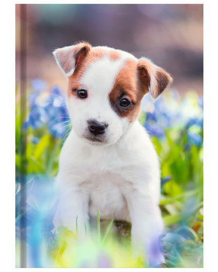 Livre relié format A5 - chien