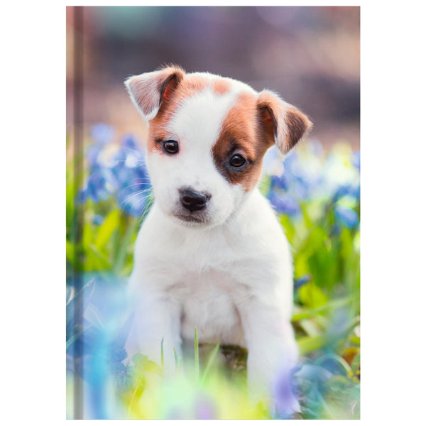 Livre relié format A5 - chien