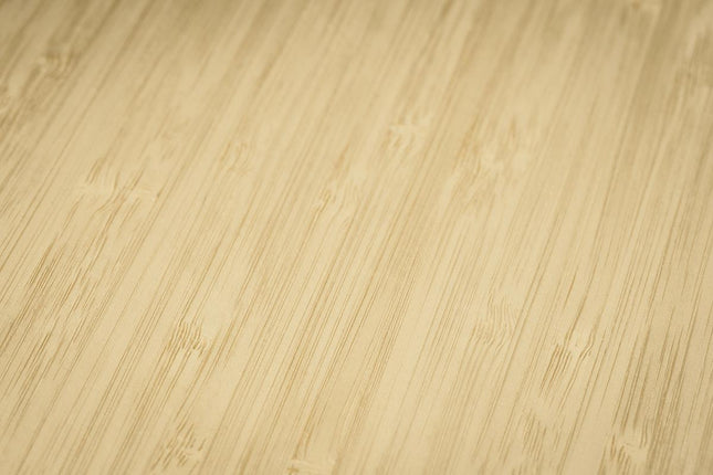 Livre à couverture en bambou, reliure spirale